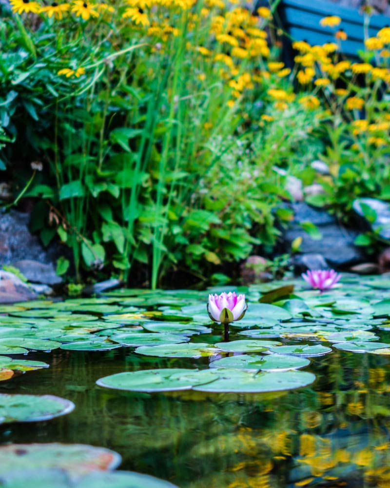 Ponds and fountains